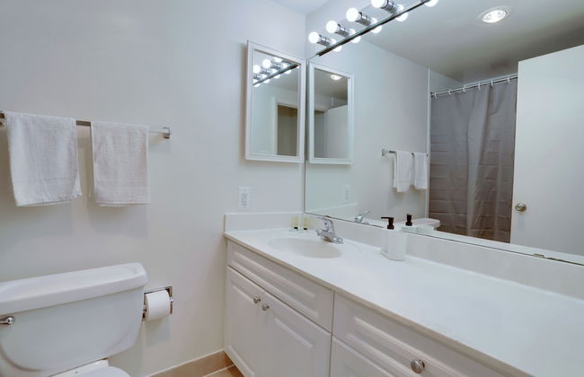 Apt Near Airport in Crystal City - Photo 29