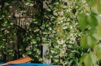 Natoli Beach House & Villas - Villa Floriana - Foto 27