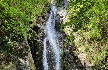 Il Bosco di Campo Marzano studios - Foto 31