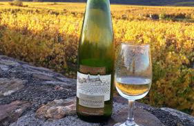 Domaine du Bouxhof - Foto 15