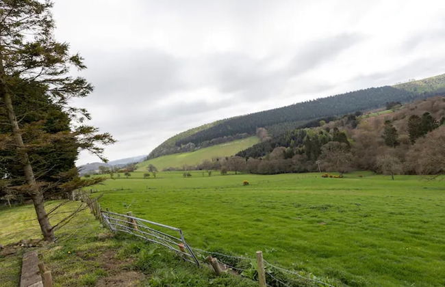Glamping Wagon - 1 x Double Bed, 2 x Single Bed - Foto 6