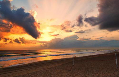 Hello Oliva Beach Ana - Photo 33