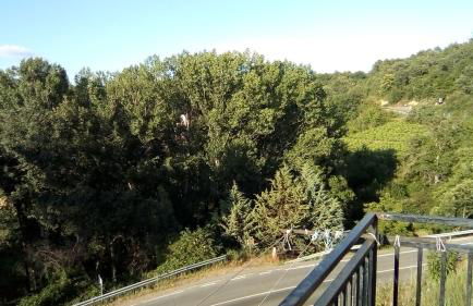 Apartamentos Condado de Miranda - Foto 30