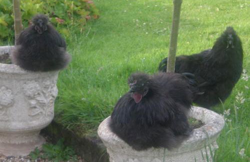 The Jockey Room Hideaway - Foto 22