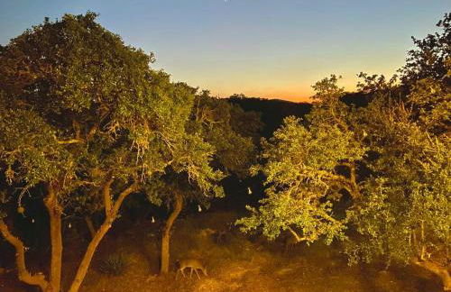 Serene Shores on Medina lake - Foto 23