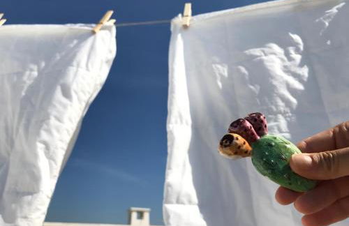 B&B Borgo Monacizzo - Foto 29