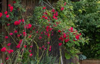 Apartment Mia - Foto 25