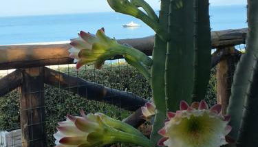 Blu Home - Photo 1, Garden view