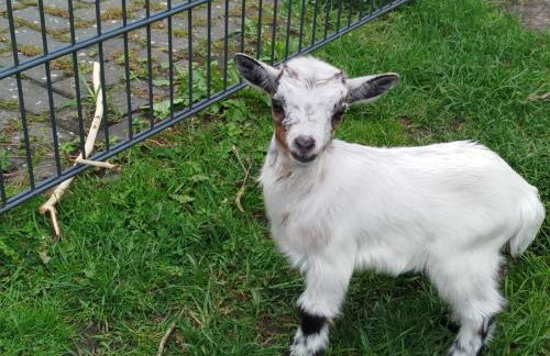 Bed and Bike Rheine - Foto 40