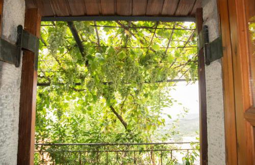 Panorama of Deep Blue - Foto 19