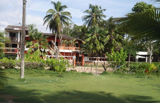 Las acacias Tolu - Foto 4