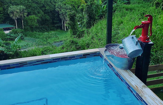 Casa Campo y mis Memorias-2 - Foto 17