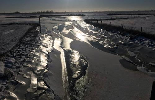 Feriendomizil Dornum Haus Willy mit Wintergarten und Wallbox - Foto 37