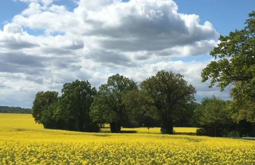 Ferienhaus Wiesenkate - Foto 35