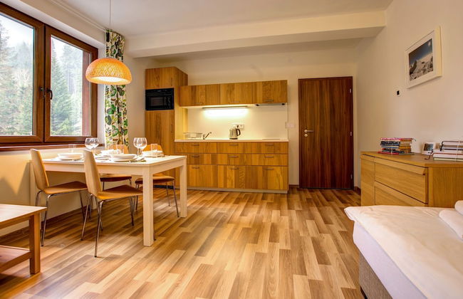Apartmány TRI STUDNIČKY - Foto 65