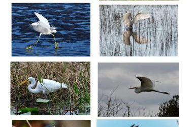 Dog friendly condo with beach access, hot tub, firepit - Foto 33