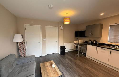 Magna House - Foto 25