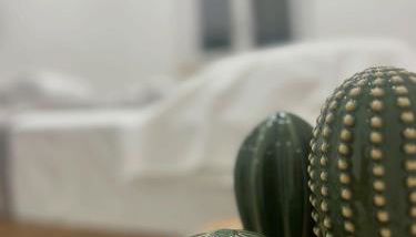 STILL HOUSE - Foto 4