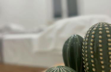 STILL HOUSE - Foto 4