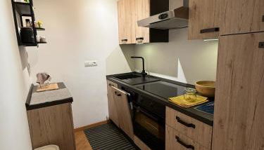 Urban nest a Torino - Foto 3, stove, dishwasher