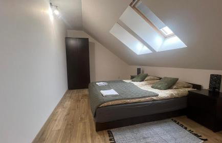 Adlerek Krynica - Foto 9