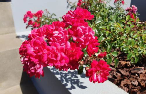 Casa Atlantico Dachterrassengeschoss - Foto 32