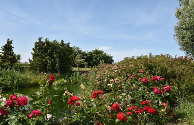 Modern Apartment in Bastorf Near Sea - Foto 52