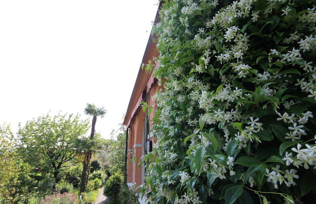 Botanic Garden Villa - Foto 29