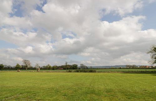 Alstroemeria - Photo 22