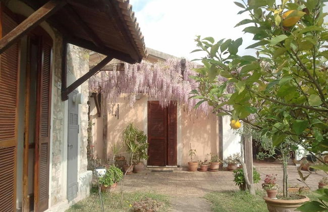 La Gabbianella e il Gatto - Foto 19