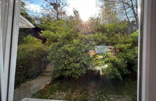 Apartment Silver Star with parking - Photo 32