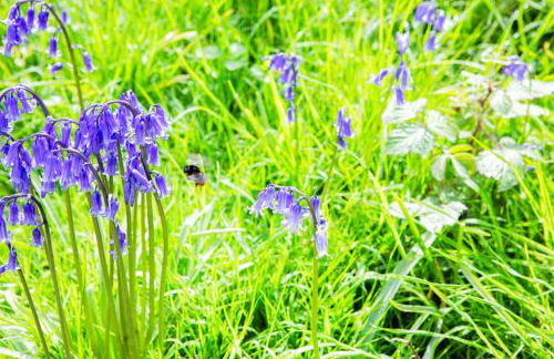 Little Hollows Glamping - Foto 65