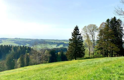 Lindners Hideaways - Bergnest Lodge - Bergblick Fewo 6 Pers Balkon Garten Hund Ski Unterkunft Luftkurort Oberreute nähe Buchenegger Wasserfälle Eistobel Bodensee - Foto 46