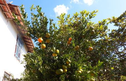 Casa Agradável com piscina. - Foto 23