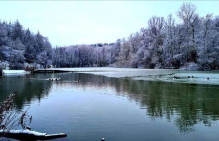 The Dotterry - Foto 33