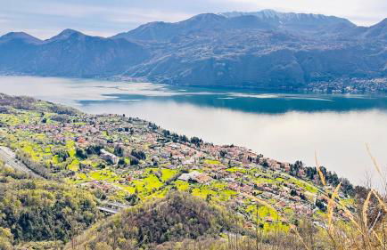 Dina’s Flower House - Foto 6