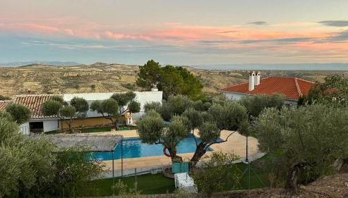 El Olivar de la Solana - Foto 5