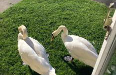 Lala lounge Stays - Foto 23