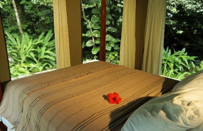 Citrus Creek Plantation - Photo 40