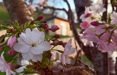 Castle View chalet - Photo 3