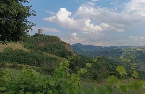 Il nido di Matilde - Foto 34