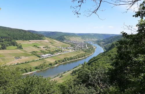 Residenz Moselstausee - Foto 71