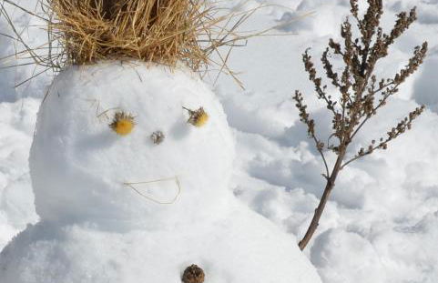 Chalets Shangrila - Foto 50