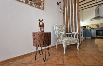 La Replaceta - Foto 43