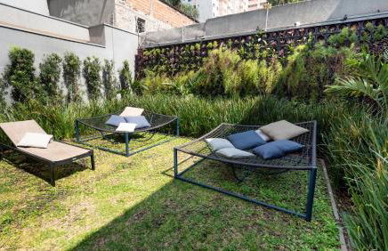 Apezinho Moema - Photo 80