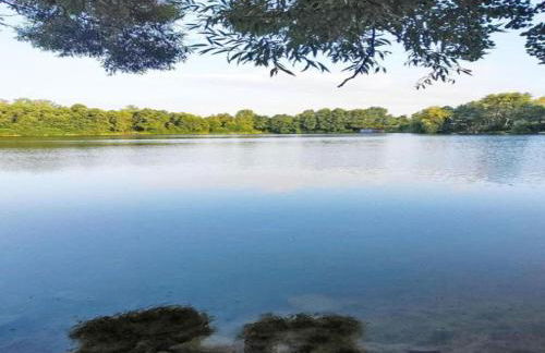 Wohnung in Leuderode beim Wildpark - Foto 33