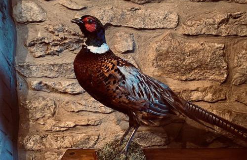 Boutique cottage in the heart of the Peak District - Foto 8