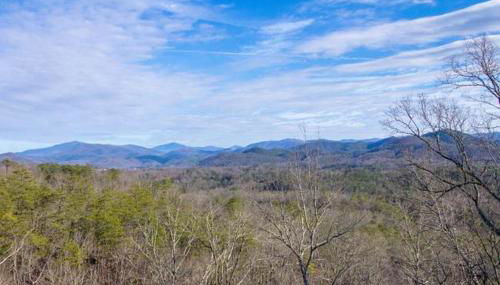 #152 Moonshadow - Foto 2