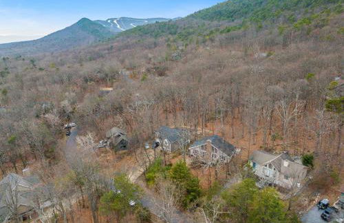 Cozy Retreat - Sauna Hot Tub & Game Room in VA - Foto 72