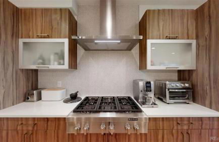 Luxurious, Modern Townhome 5 minute Walk from Cherry Creek North - Foto 37